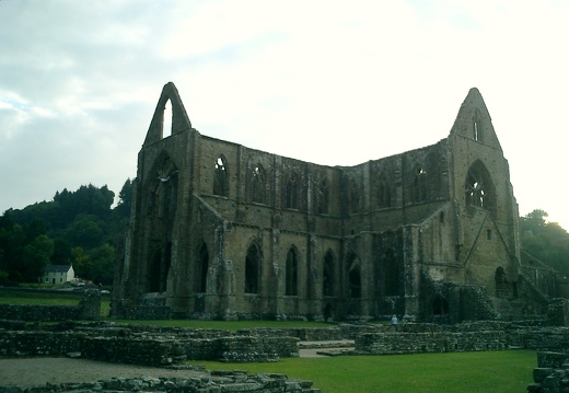 View from the kitchen (really!)
